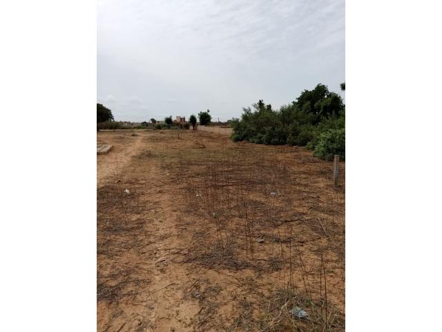 Photo Terrain 300 mètres carrés à vendre à Malicounda Sénégal image 3/3