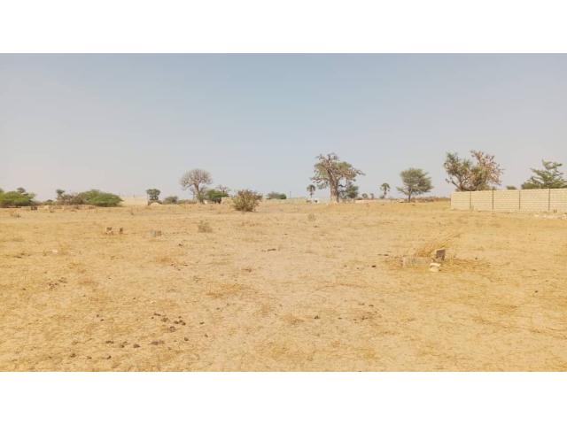 Photo Terrain 300 mètres carrés à vendre à Malicounda Sénégal image 3/3