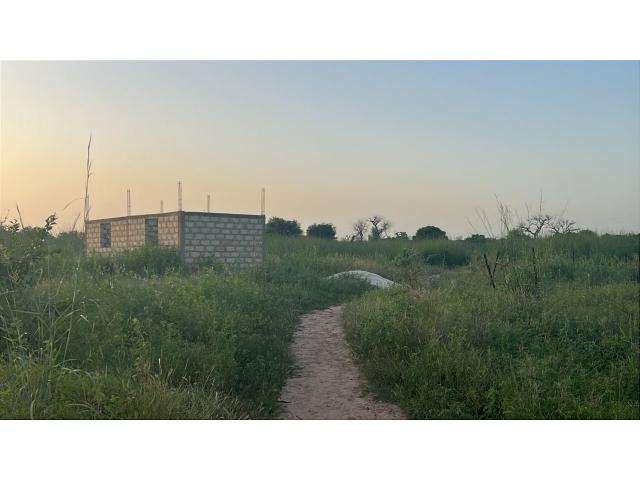 Photo Terrain 300 mètres carrés à vendre à Malicounda Sénégal image 3/3