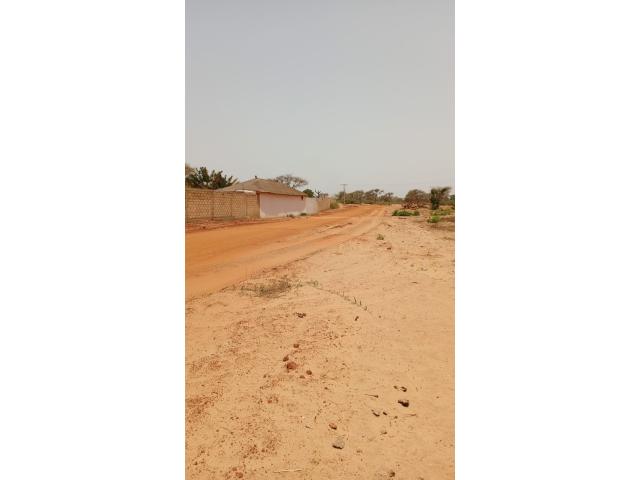 Photo Terrain 350 mètres carrés à vendre à Malicounda Sénégal image 3/3