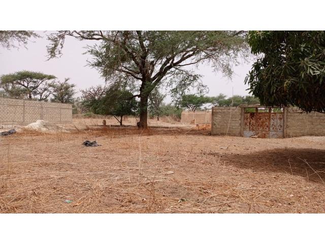 Photo Terrain 450 mètres carrés à vendre à Malicounda Sénégal image 3/3