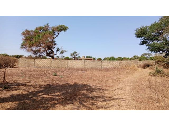Photo Terrain 460 mètres carrés à vendre à Malicounda Sénégal image 3/3