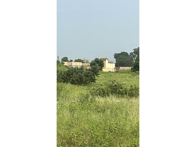 Photo Terrain 600m2 keur masseib image 3/4