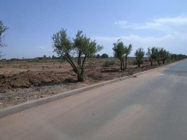 Photo Terrain à vendre 8 km500 route dAmizmiz Marrakech image 3/3