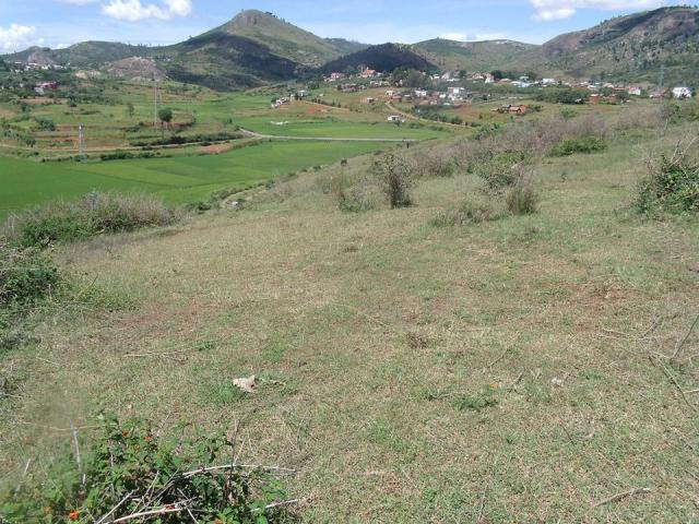 Photo TERRAIN A VENDRE A AMBANITSENA Ref#1525 image 3/3