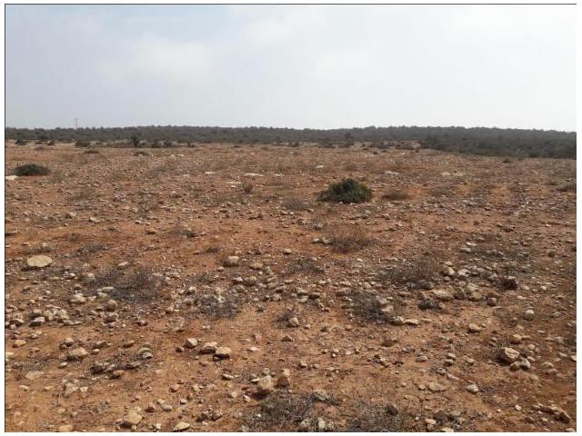 Photo terrain a vendre a taddart anza image 3/4
