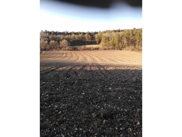 Photo Terrain agricole à vendre a Viroinval image 3/3