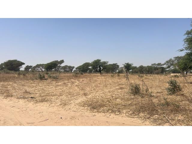 Photo Terrain agricole de 1 hectare 400 à vendre à Notto Sénégal image 3/3