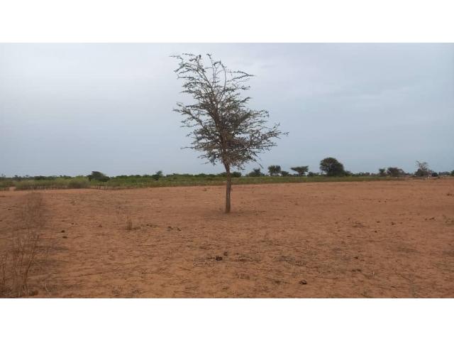 Photo Terrain agricole de 1 hectare à vendre à Malicounda Takhoum image 3/4