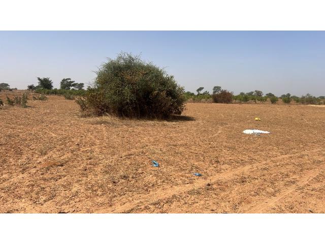 Photo Terrain agricole de 1 hectare à vendre à Notto Sénégal image 3/3