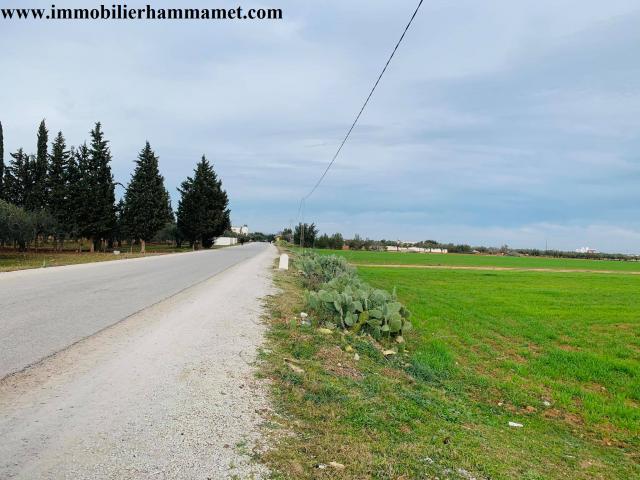 Photo Terrain Agricole Marwen 10000 m² à Sidi Mtir image 3/4
