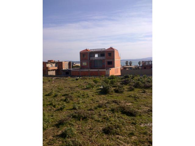 Photo TERRAIN AVENDRE A LA MARSA SKIKDA image 3/3