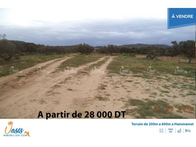Photo Terrain beni ouail image 3/5