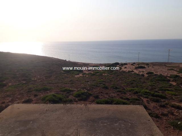 Photo TERRAIN CAP SERRAT 2 Bizerte, Cap Serrat T866 image 3/3