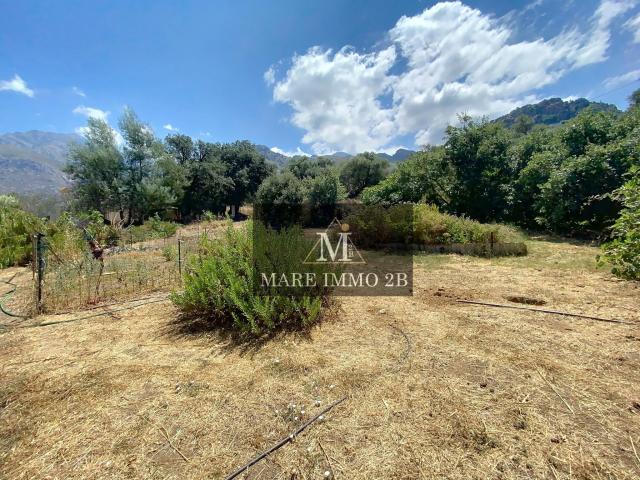 Photo TERRAIN CONSTRUCTIBLE image 3/3