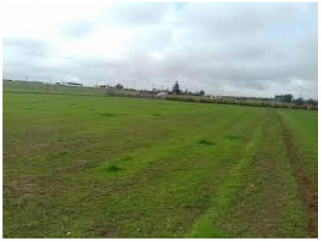 Photo terrain de 1 5 hectar à  vendre image 3/3