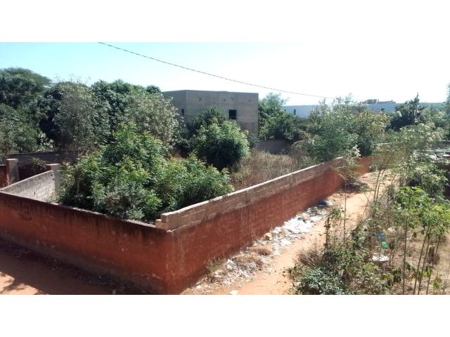Photo Terrain de 1124 mètres carrés à vendre à Ngaparou Sénégal image 3/5