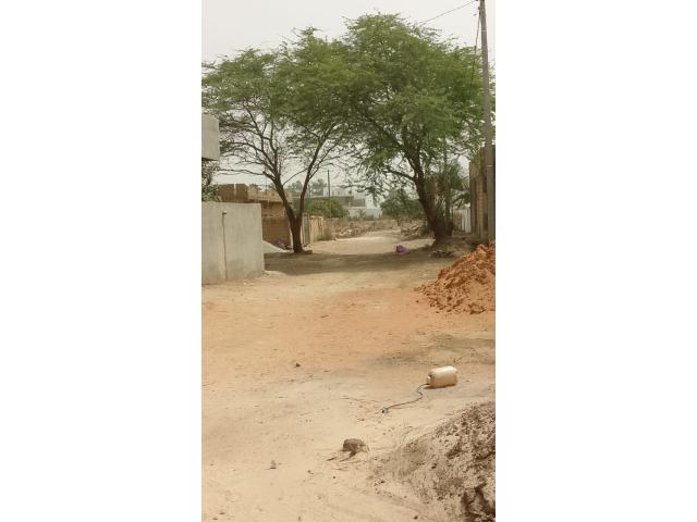 Photo Terrain de 1200 mètres carrés à vendre à Saly, Sénégal image 3/6