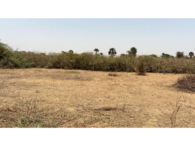 Photo Terrain de 1200 mètres carrés à vendre à Saly Sénégal image 3/4