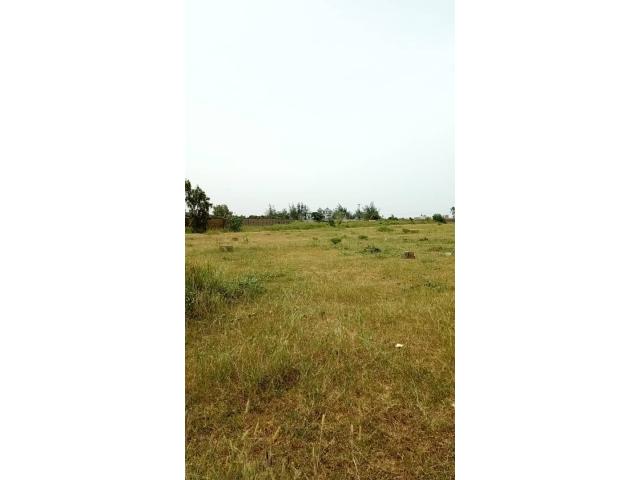 Photo terrain de 150 metres carres a dakar image 3/4