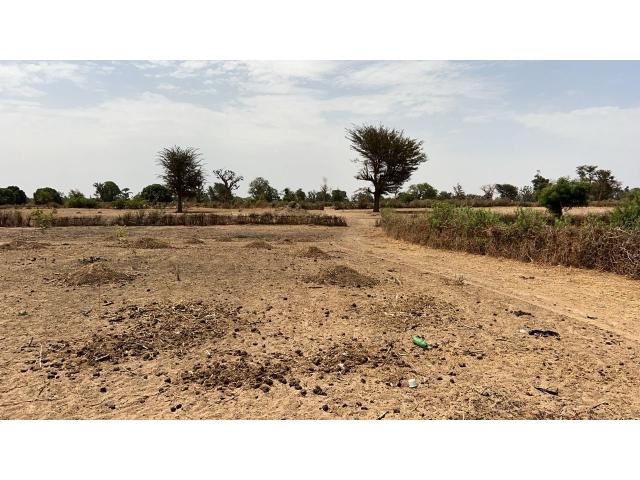 Photo Terrain de 1hectare et demi à vendre à Louly Sénégal image 3/4