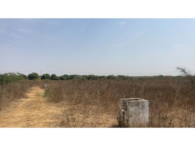 Photo Terrain de 200 mètres carrés à vendre à Ndayane Sénégal image 3/4
