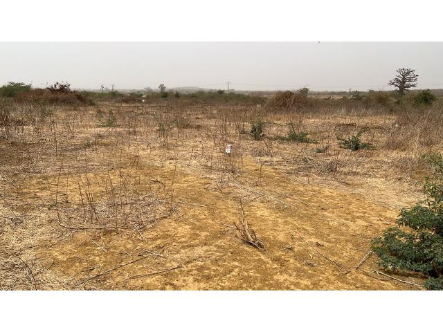 Photo Terrain de 200 mètres carrés à vendre à Ndayane Sénégal image 3/4