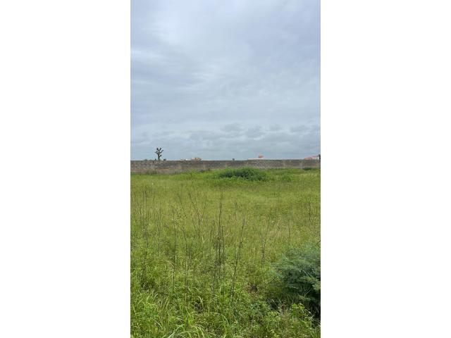 Photo terrain de 225 metres carres a saly image 3/3