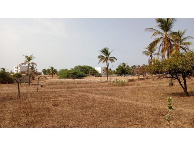 Photo Terrain de 225 mètres carrés à vendre à pointe sarène Sénégal image 3/4