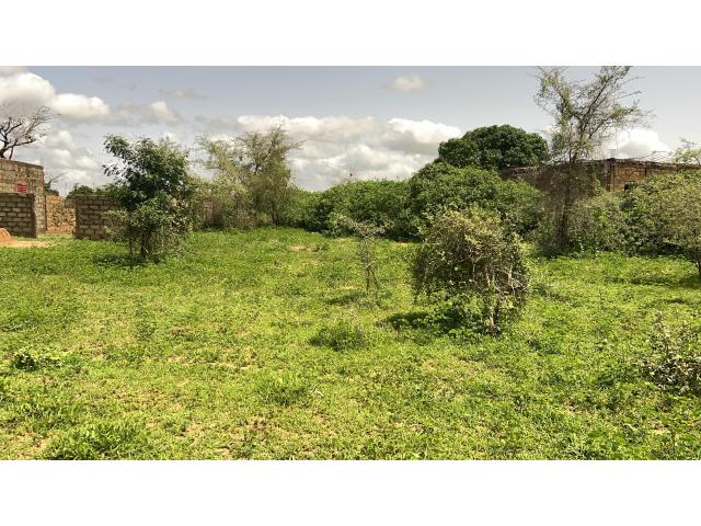 Photo Terrain de 225 mètres carrés à vendre à Saly Sénégal image 3/4