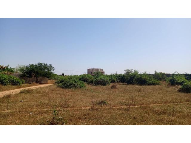 Photo Terrain de 225 mètres carrés à vendre à Saly Sénégal image 3/4