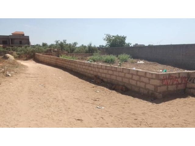Photo Terrain de 260 mètres carrés à vendre à Saly Sénégal image 3/4
