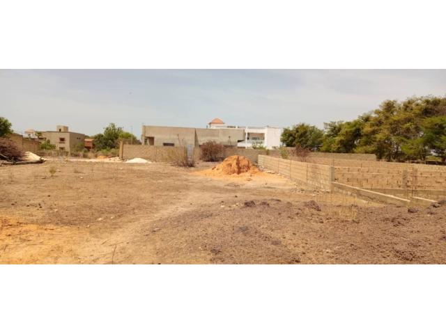 Photo terrain de 271 metres carres a saly image 3/3