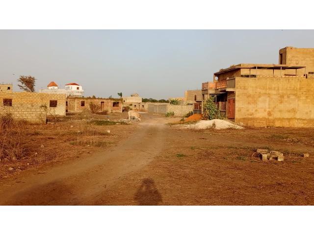 Photo Terrain de 290 mètres carrés à vendre à Gandigal Sénégal image 3/4