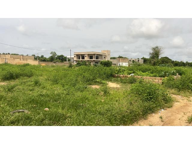 Photo Terrain de 297 mètres carrés à vendre à Ngaparou Sénégal image 3/4