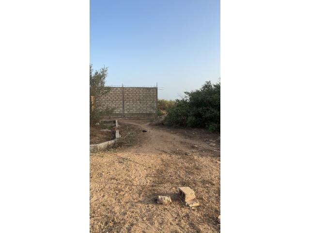 Photo terrain de 300 metres carres a saly image 3/3