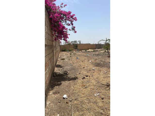 Photo terrain de 300 metres carres a saly joseph image 3/3