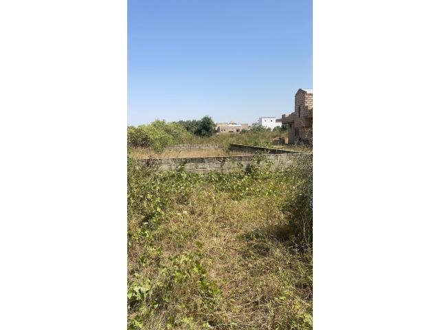 Photo terrain de 300 metres carres a saly velingara image 3/3
