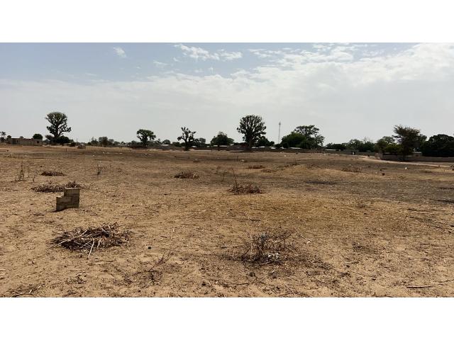 Photo Terrain de 300 mètres carrés à vendre à Louly Sénégal image 3/4