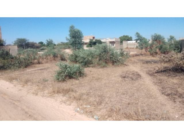 Photo Terrain de 300 mètres carrés à vendre à Malicounda  Sénégal image 3/5