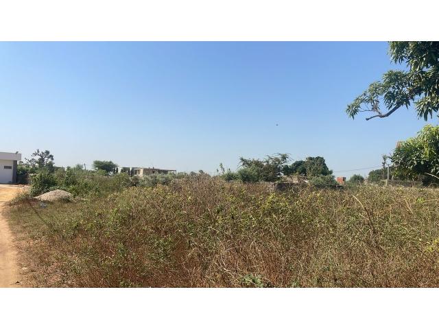 Photo Terrain de 300 mètres carrés à vendre à Ndiourokh Sénégal image 3/3