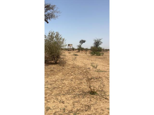 Photo Terrain de 300 mètres carrés à vendre à Nguékhokh Sénégal image 3/3