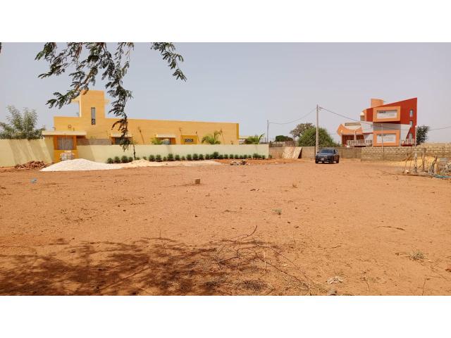 Photo Terrain de 300 mètres carrés à vendre à Nguérigne Sénégal image 3/4
