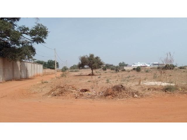 Photo Terrain de 300 mètres carrés à vendre à Nguérigne Sénégal image 3/5