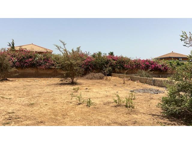 Photo Terrain de 300 mètres carrés à vendre à Saly Sénégal image 3/4