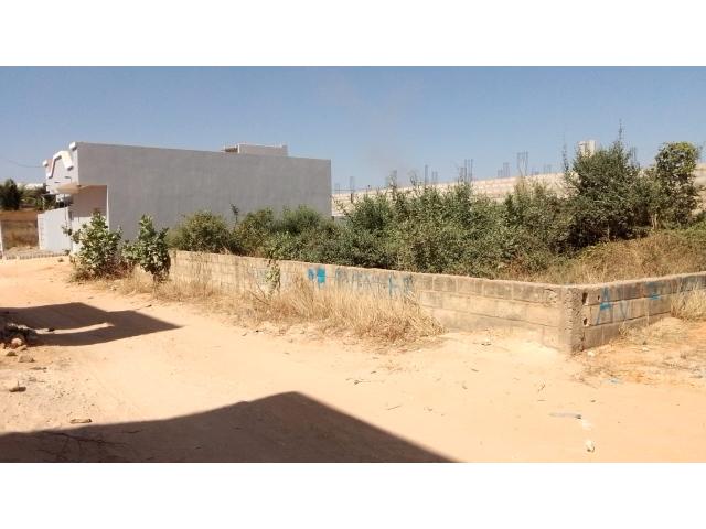 Photo Terrain de 300 mètres carrés à vendre à Saly Sénégal image 3/4