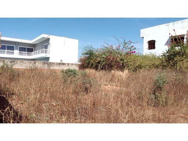 Photo Terrain de 300 mètres carrés à vendre à Somone Sénégal image 3/6