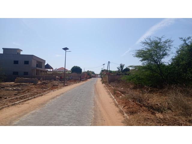 Photo Terrain de 300 mètres carrés à vendre à Somone Sénégal image 3/4