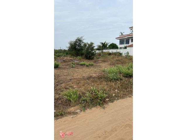 Photo Terrain de 320 mètres carrés à vendre à Saly Sénégal image 3/3