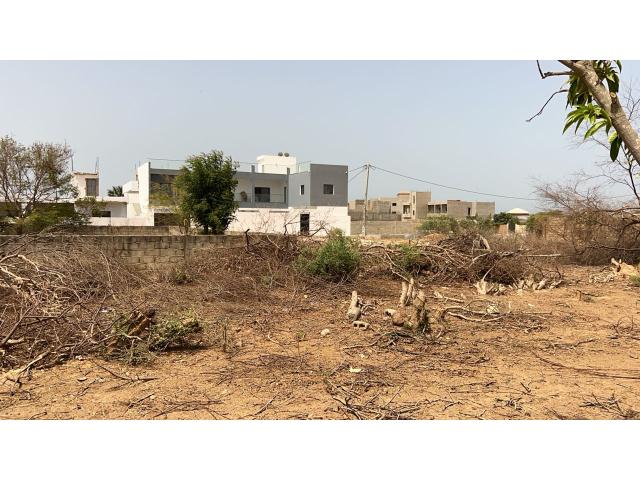 Photo Terrain de 323 mètres carrés à vendre à Saly Sénégal image 3/4